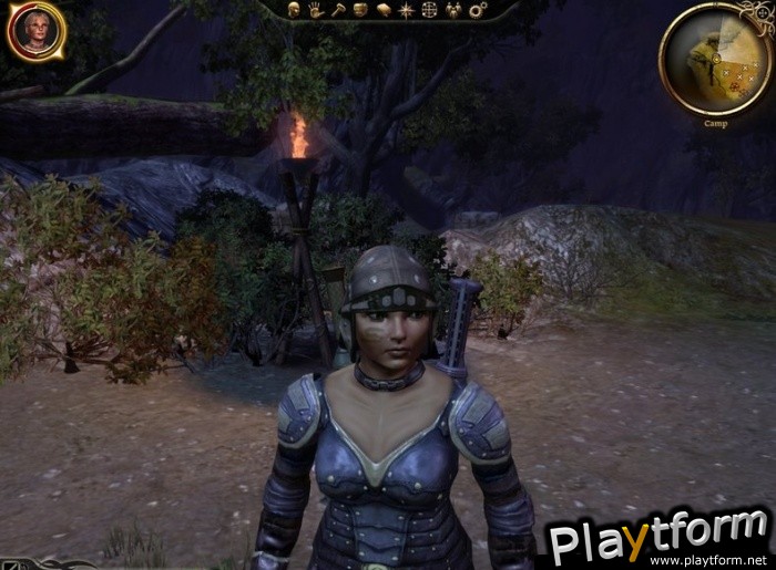 Dragon Age: Origins (PC)