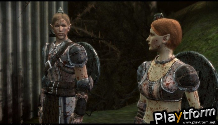 Dragon Age: Origins (PC)