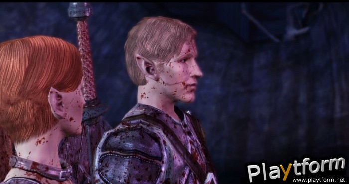 Dragon Age: Origins (PC)
