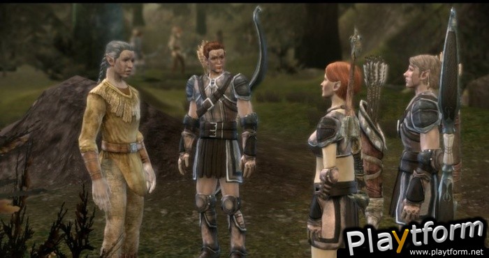 Dragon Age: Origins (PC)