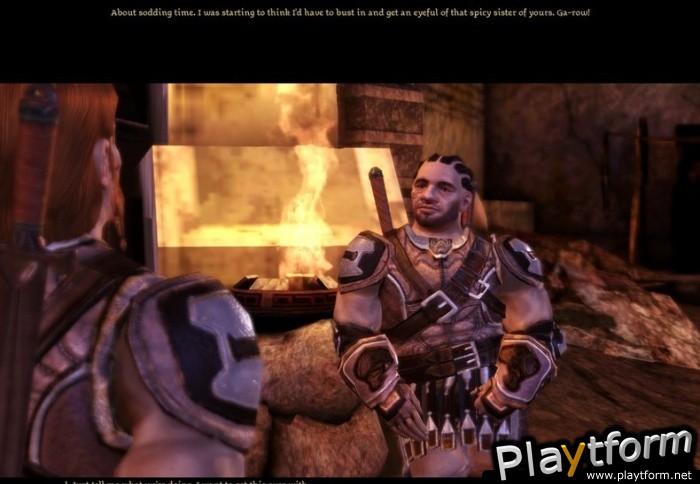 Dragon Age: Origins (PC)