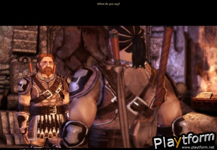 Dragon Age: Origins (PC)