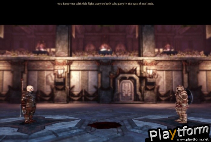 Dragon Age: Origins (PC)