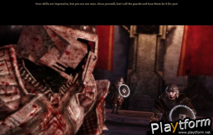 Dragon Age: Origins (PC)
