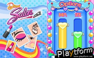 Dream Salon (DS)