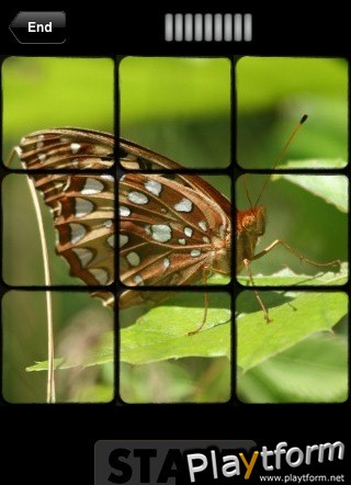 PicFlick (iPhone/iPod)