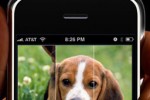 iPuzzle Pro - Puppy Version Slider Game (iPhone/iPod)