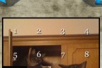 Mammal Stew (iPhone/iPod)