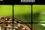 PicFlick (iPhone/iPod)