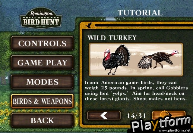 Remington Great American Bird Hunt (Wii)
