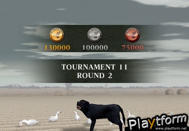 Remington Great American Bird Hunt (Wii)