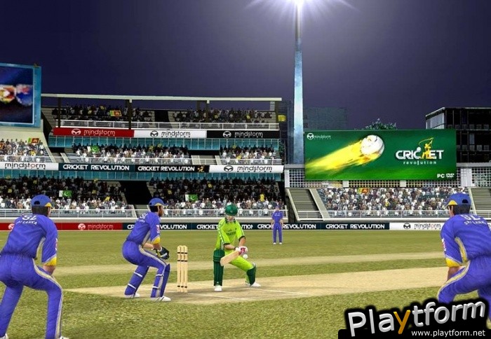 Cricket Revolution (PC)