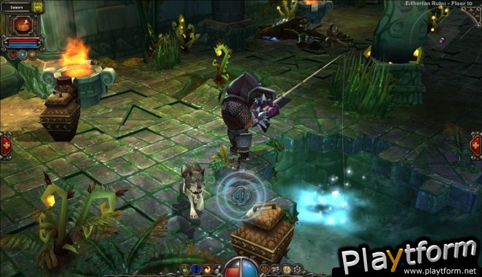 Torchlight (PC)