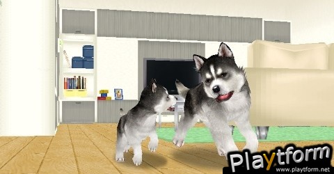 Petz Dogz Family (PSP)