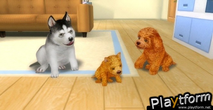 Petz Dogz Family (PSP)