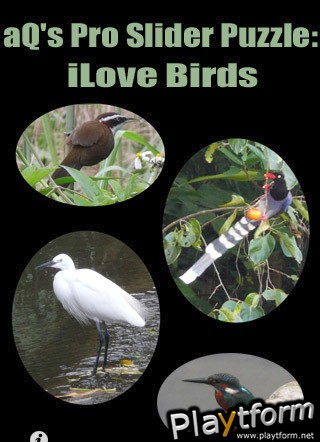 Q's Slider Puzzle: iLove Birds (iPhone/iPod)