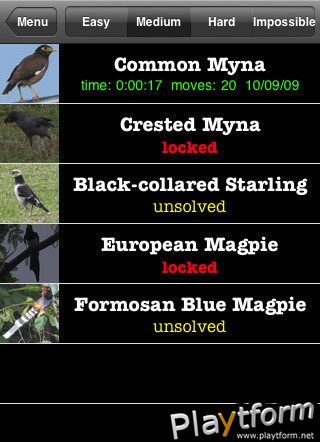 Q's Slider Puzzle: iLove Birds (iPhone/iPod)