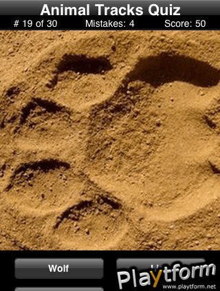 Animal Tracks Quiz (iPhone/iPod)