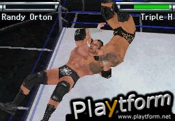 WWE SmackDown vs. Raw 2010 (DS)