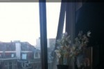 Mosquitoes (iPhone/iPod)