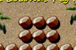 a Coconut Peg (iPhone/iPod)