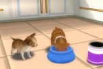 Petz Dogz Family (PSP)