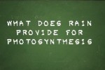 Are You Smarter than a 5th Grader? Game Time (DS)