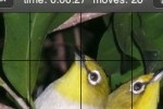 Q's Slider Puzzle: iLove Birds (iPhone/iPod)