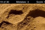 Animal Tracks Quiz (iPhone/iPod)