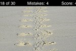Animal Tracks Quiz (iPhone/iPod)
