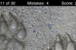 Animal Tracks Quiz (iPhone/iPod)