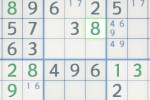 the sudoku (iPhone/iPod)