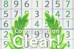 the sudoku (iPhone/iPod)