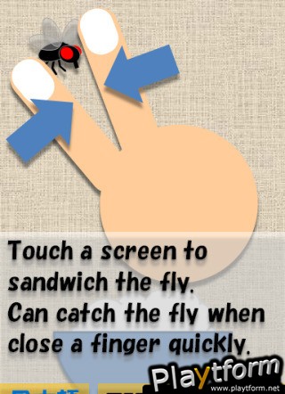 SAMURAI catch the fly (iPhone/iPod)