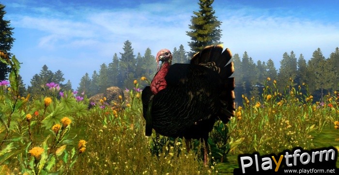 Cabela's Outdoor Adventures(2009) (PC)