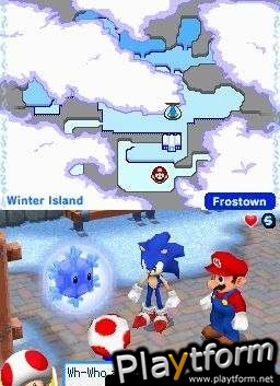 Mario & Sonic at the Olympic Winter Games (DS)