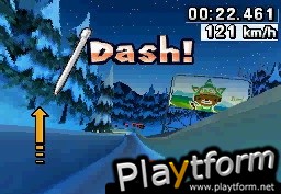 Mario & Sonic at the Olympic Winter Games (DS)