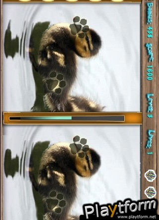 Pic Hunt : Pets (iPhone/iPod)