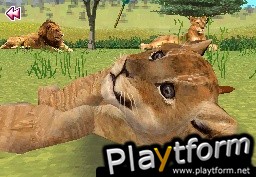 Animal Paradise Wild (DS)