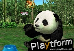 Animal Paradise Wild (DS)