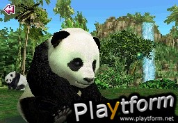 Animal Paradise Wild (DS)