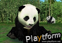 Animal Paradise Wild (DS)