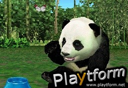 Animal Paradise Wild (DS)
