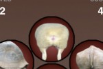 Mystery Butt (iPhone/iPod)
