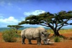 Afrika (PlayStation 3)