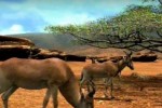 Afrika (PlayStation 3)
