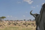Afrika (PlayStation 3)