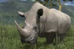 Afrika (PlayStation 3)
