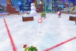 Mario & Sonic at the Olympic Winter Games (Wii)