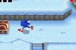 Mario & Sonic at the Olympic Winter Games (Wii)